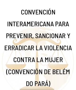 Libro 6