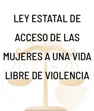 Libro 4