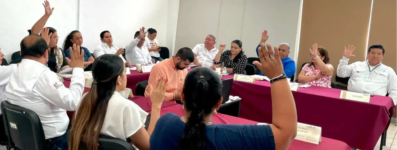 Participación en la Cuarta Sesión Extraordinaria del Consejo Técnico de Adopciones del Sistema DIF Tabasco 2026